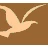 zwu_net