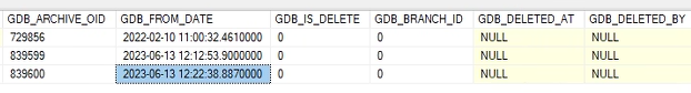 internal fields of the geodatabase