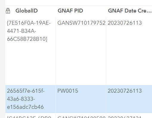 GlobalID Data Screenshot