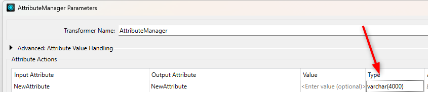 attributemanager_type