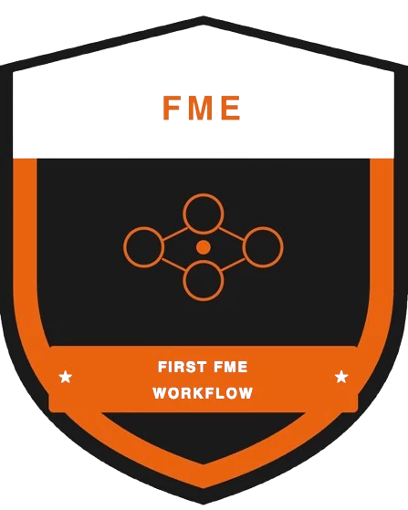 First FME Workflow