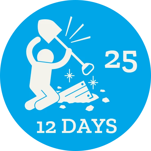 12 Days 2025 Participant Badge