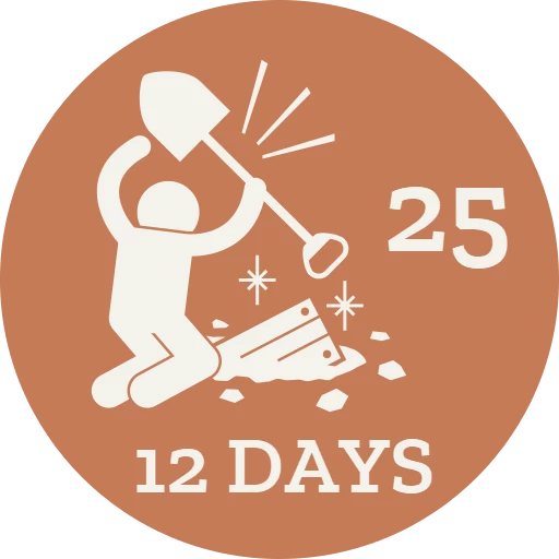 12 Days 2025 Bronze Badge