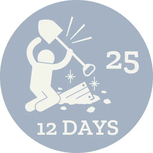 12 Days 2025 Silver Badge