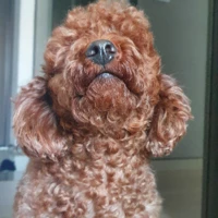 jungmin