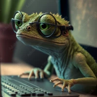 momo_geogecko