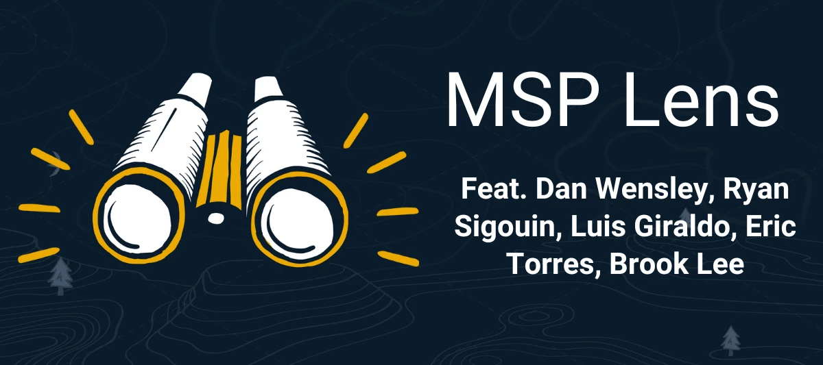 Through the Lens of an MSP