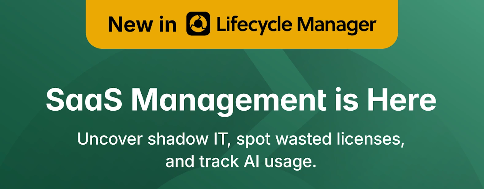 SaaS Management in Lifecycle Manager X