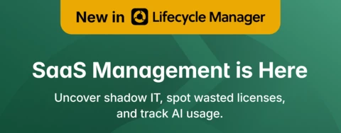 SaaS Management in Lifecycle Manager X