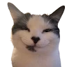 nonononononono