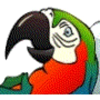 birdsafe
