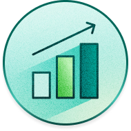 Data Strategist