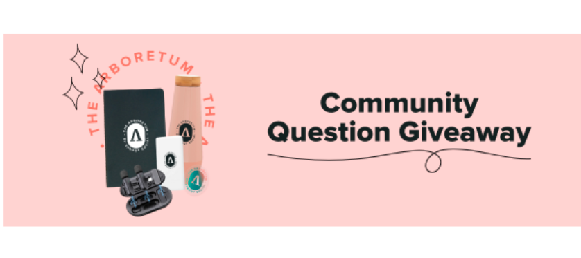 Community Giveaway Q 🎁: Which brands are leveraging AI well? ✨