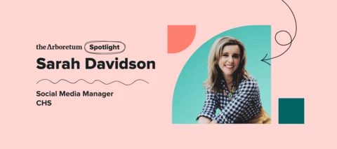 🔦 Community Spotlight: Sarah Davidson