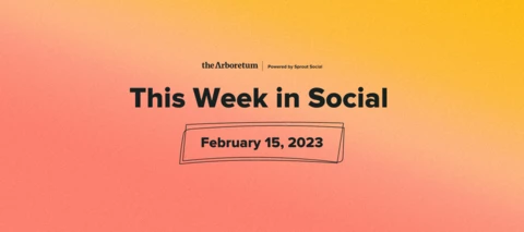 🎥 Watch this week in social: February 15th