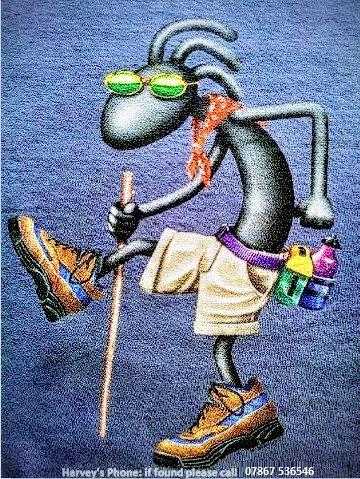Mardlinboy