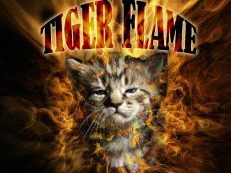 tigerflame