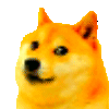 :dogeparty: