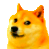 :dogeparty: :dogeparty: