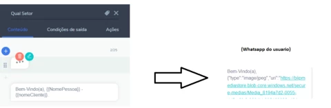 Mensagem de erro sendo apresentada no lugar da variável Mensagem de erro sendo apresentada no lugar da variável
