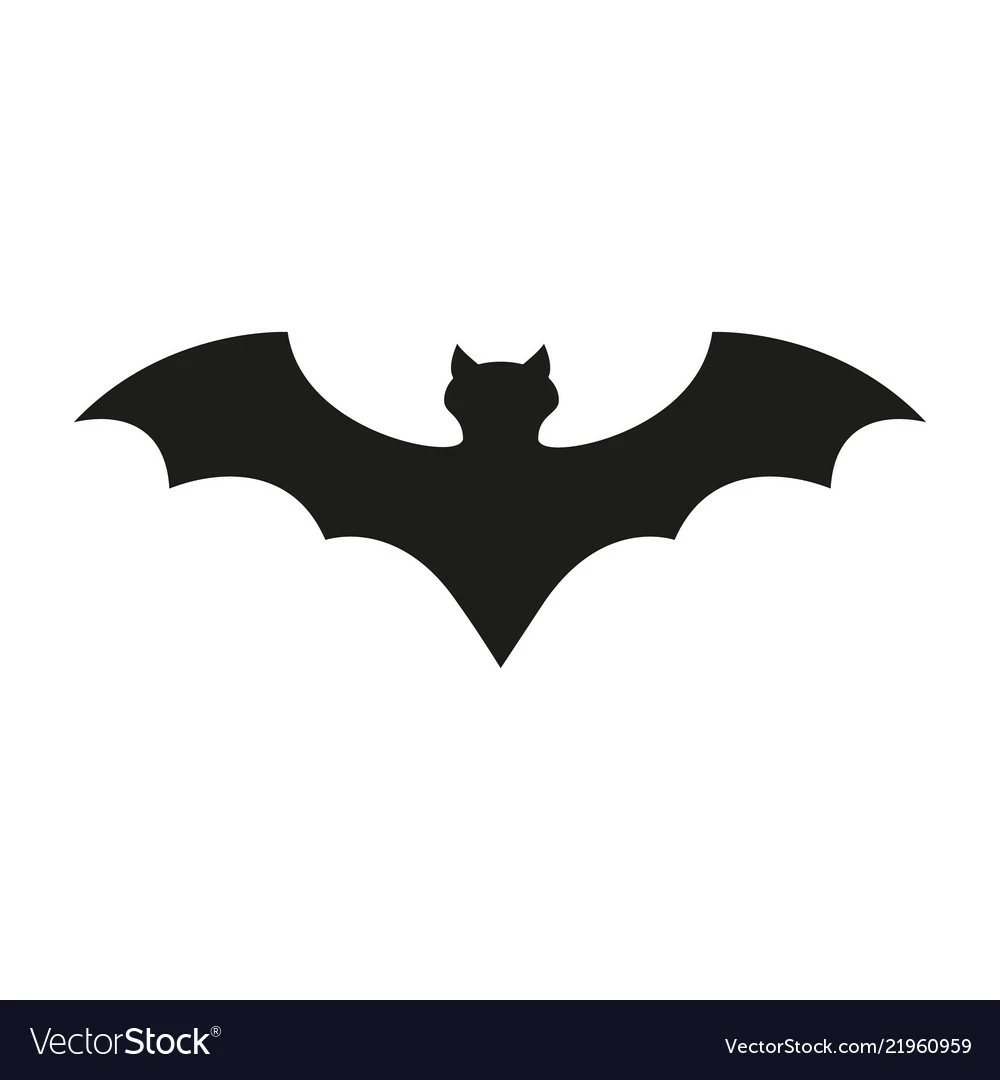 transylvanian bat