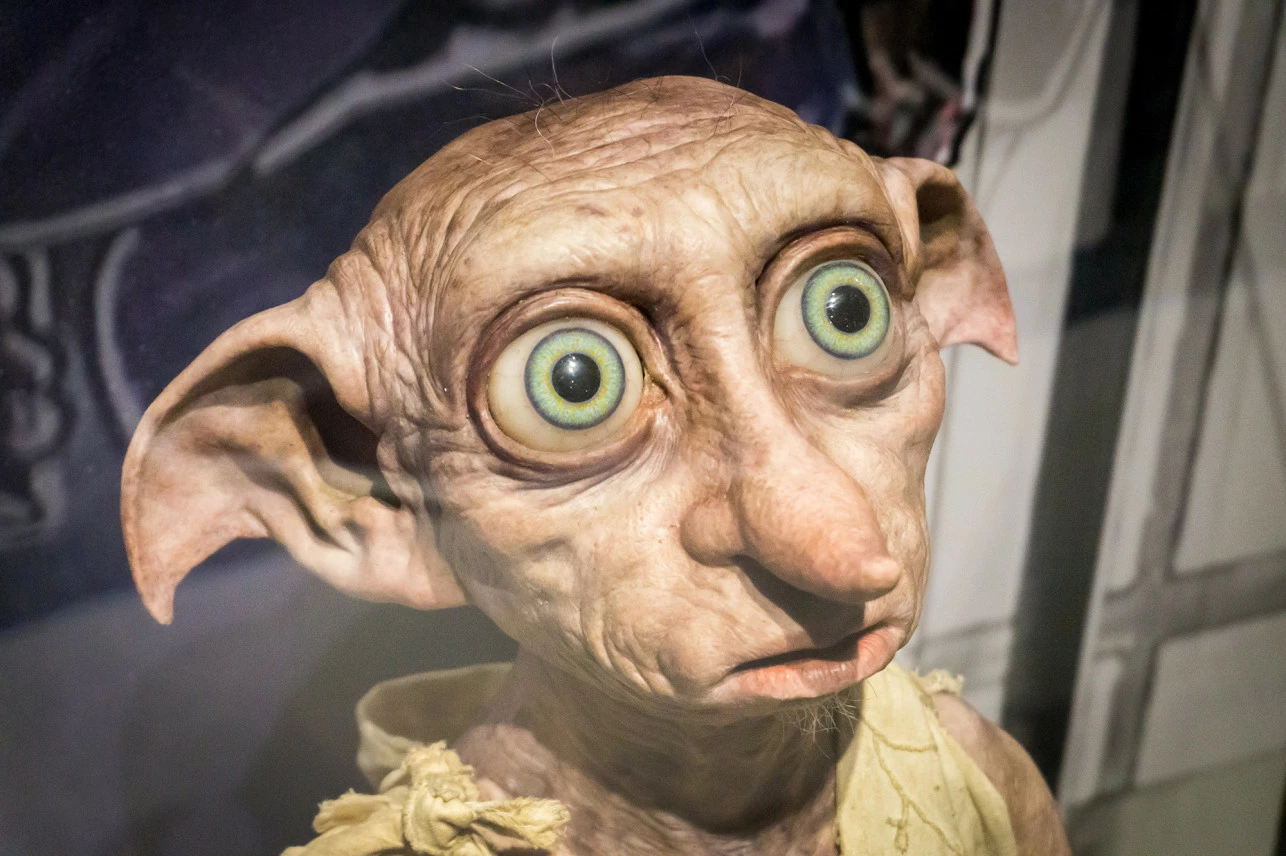 DobbyTheElf