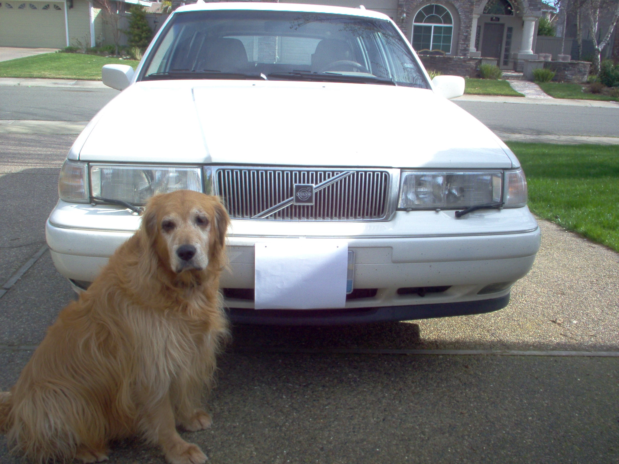 VolvoGirl