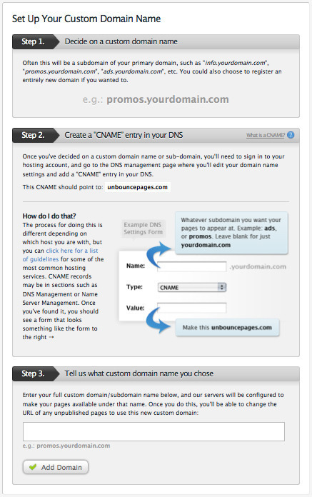 Custom domain setup screen