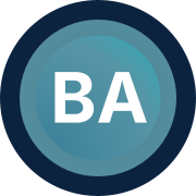 Business Analyst