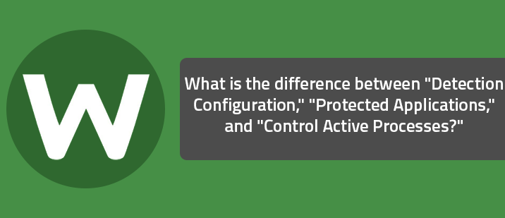 What is the difference between "Detection Configuration," "Protected Applications," and "Control Active Processes?"