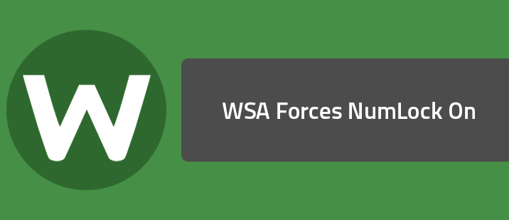 WSA Forces NumLock On