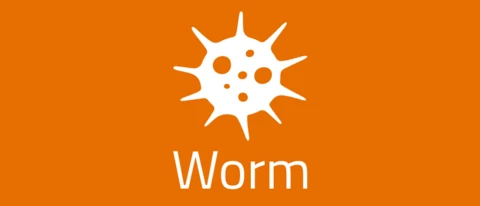 Worm
