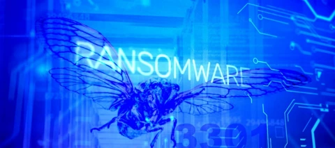 Cyber News Rundown: Cicada3301 ransomware spotted using ALPHV tactics
