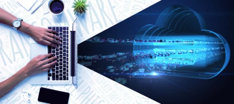 New ransomware and backup management tools for Carbonite Server make data more resilient against loss or compromise