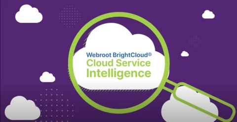 Announcing BrightCloud Cloud Service Intelligence