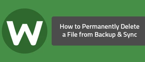 How to Permanently Delete a File from Backup & Sync