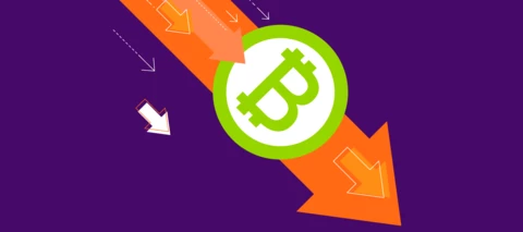 The Rise and Fall of Cryptocurrency: 2018 Bitcoin Bear Market