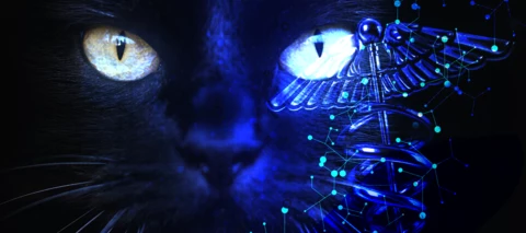 Cyber News Rundown: BlackCat/ALPHV ransomware targets global healthcare provider