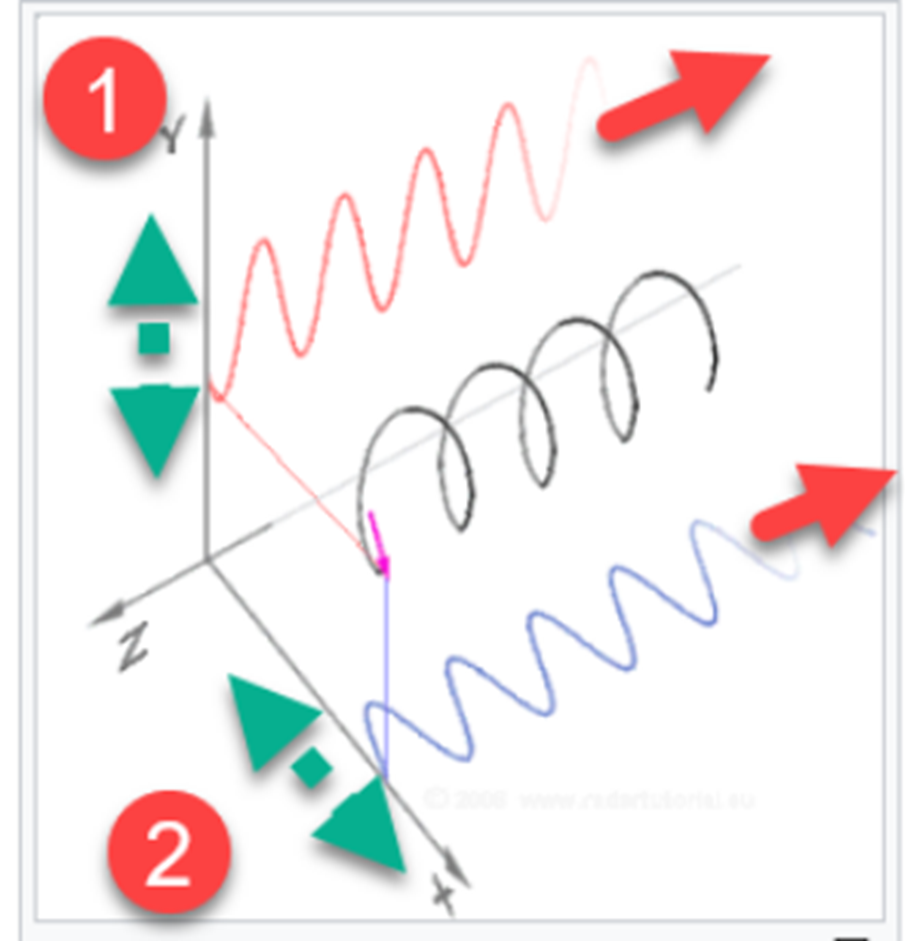 Polarization