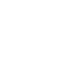 Report Icon