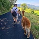 Filippo12