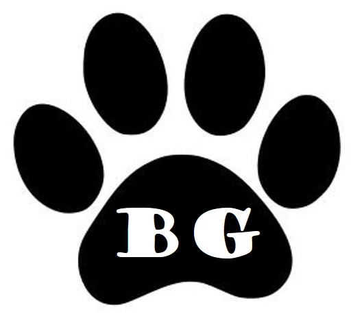 BGio